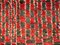 Marokkanischer Berber Talsent Teppich in Rot, Braun & Weiß, 1950er 10