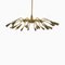 Mid-Century Brass Ceiling Lamp, 1950s 1