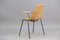 Mid-Century Dining Chairs by Gian Franco Legler for Legler, 1950s, Set of 4, Image 7