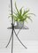 Mid-Century Plissé Floor Lamp with Stand, 1950s, Image 5