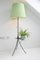 Mid-Century Plissé Floor Lamp with Stand, 1950s, Image 2