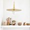 Spinode Minimal Modern Design Pendant Lamp With Brass Flat Disc from Balance Lamp 7