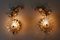 Crystal and Gilt Brass Sconces from Palwa, 1960s, Set of 2 2