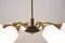 Mid-Century German Brass and Glass 8-Arm Sputnik Ceiling Lamp, 1950s, Image 4