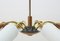 Mid-Century German Brass and Glass 8-Arm Sputnik Ceiling Lamp, 1950s, Image 11