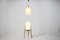 Floor Lamp and Pendant from Uluv, 1960s, Set of 2 1