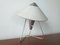 Table Lamp by Helena Frantova for Kovona, 1950s 3