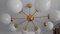 Lámparas de araña Sputnik de latón de Drukov, años 60. Juego de 2, Imagen 2