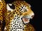 Ceramic Leopard Sculptures, 1950s, Set of 2 9