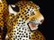 Leoparden Skulpturen aus Keramik, 1950er, 2er Set 9