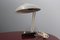 Mid-Century Gray and White Table Lamp, 1950s 6