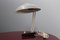 Mid-Century Gray and White Table Lamp, 1950s, Image 6