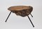 Mid-Century Austrian Solid Cherry Tree Trunk Coffee Table, 1950s, Image 1