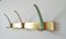 Mid-Century Wall Coat Rack, 1968, Image 6