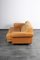 DS-P 2-Seat Sofa by Robert Haussmann for de Sede, 1960s 14