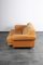 DS-P 2-Seat Sofa by Robert Haussmann for de Sede, 1960s, Image 14