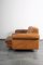 Model DS-P 2-Seater Sofa by Robert Haussmann for de Sede, 1960s 10
