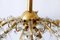 Lámpara de araña Sputnik de 10 luces de Lobmeyr, años 50, Imagen 20