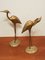 Brass Herons Cranes, 1970s, Set of 2 4