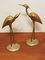 Brass Herons Cranes, 1970s, Set of 2 3