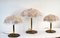 Lámparas de mesa ajustables de cristal de Murano de Barovier & Toso, años 60. Juego de 3, Imagen 14