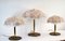 Murano Adjustable Table Lamps from Barovier & Toso, 1960s, Set of 3 14