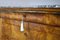 Antique French Burr Elm Commode or Chest of Drawers, Image 3