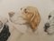 Etching Aquatint of Dogs by Leon Danchin, 1930s 4