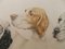 Etching Aquatint of Dogs by Leon Danchin, 1930s, Image 4