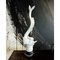 Delfin-Figur aus Muranoglas von Napoleone Martinuzzi für Venini, 1960er 3