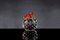 Sphere with Red Gecko Sculpture from VGnewtrend, Image 2