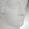 Buste Apollo Vintage en Plâtre, Angleterre, années 80 11