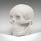 English White Marble Skull Paperweight, 1980s 3