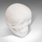 English White Marble Skull Paperweight, 1980s 7