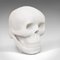 English White Marble Skull Paperweight, 1980s 1