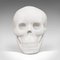 English White Marble Skull Paperweight, 1980s 2