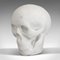 Vintage English White Marble Skull Paperweight, 1980s 3