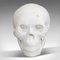 Vintage English White Marble Skull Paperweight, 1980s 2