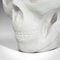 Vintage English White Marble Skull Paperweight, 1980s 9