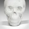Vintage English White Marble Skull Paperweight, 1980s 8
