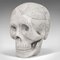 Decorative Skull Ornament by Dominic Hurley, 1980s, Image 3
