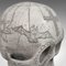 Adorno decorativo en forma de calavera de mármol de Dominic Hurley, años 80, Imagen 11