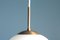 Lámpara colgante danesa Mid-Century de Bent Karlby para Lyfa, años 60, Imagen 2
