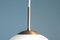 Mid-Century Danish Peanut Pendant Lamp by Bent Karlby for Lyfa, 1960s 2