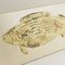 Piatto a forma di pesce Mid-Century di Roger Capron per Vallauris, Immagine 3