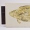 Mid-Century Fish Plate by Roger Capron for Vallauris, Image 6