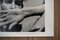 Affiche Sélecteur de Gélatine en Argent par Dorothea Lange, 1938 6