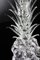 Grand Ananas Transparent de VGnewtrend 4