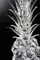 Large Transparent Pineapple from VGnewtrend, Image 4