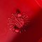 Model 4875 Chair in Glossy Red by Carlo Bartoli for Kartell, 1980s 8
